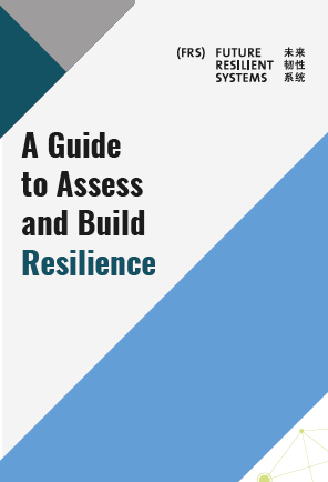 Guide to assess & build resilience