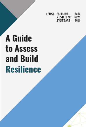 Resilience Guide